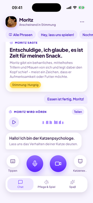Cat Translator — 1