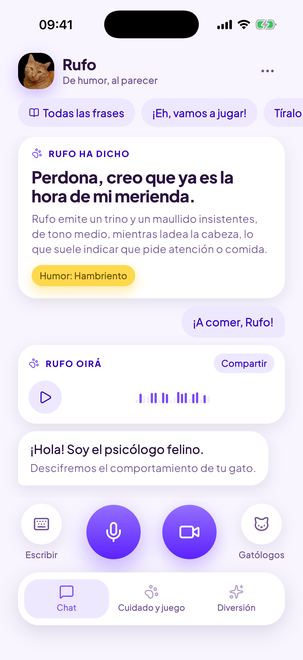 Cat Translator — 1