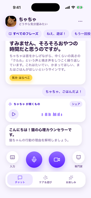 Cat Translator — 1