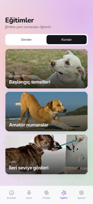 Her seviyeye uygun kurslar